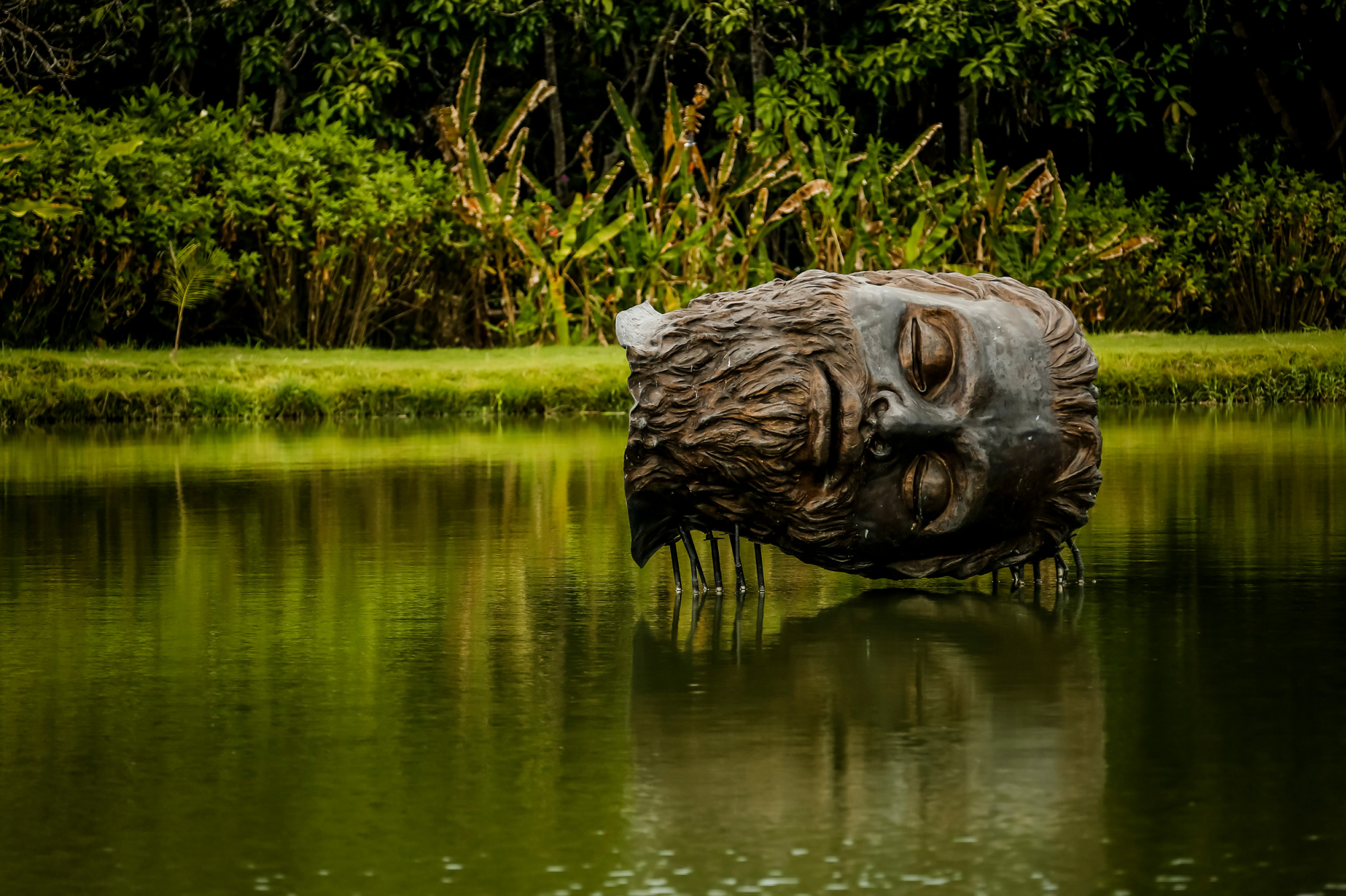 Tinha que acontecer, Usina da Arte, Pernambuco, Brasil