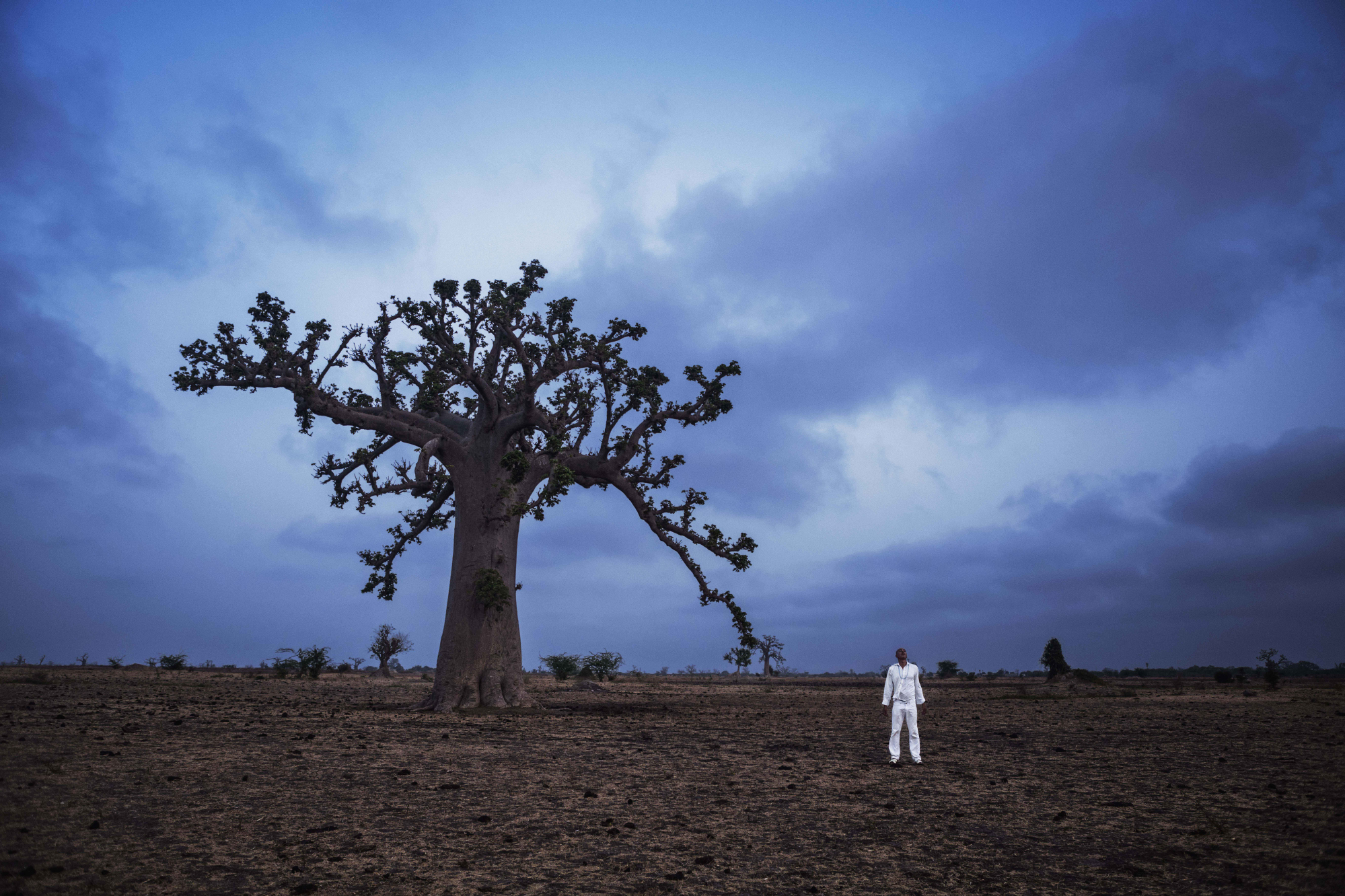 História do Futuro - Baobá: o capítulo da agromancia, 2015