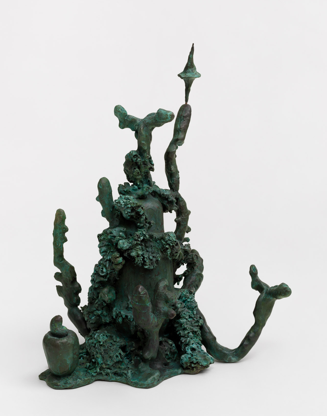 Lindacelva (Beautiful jungle), 2024