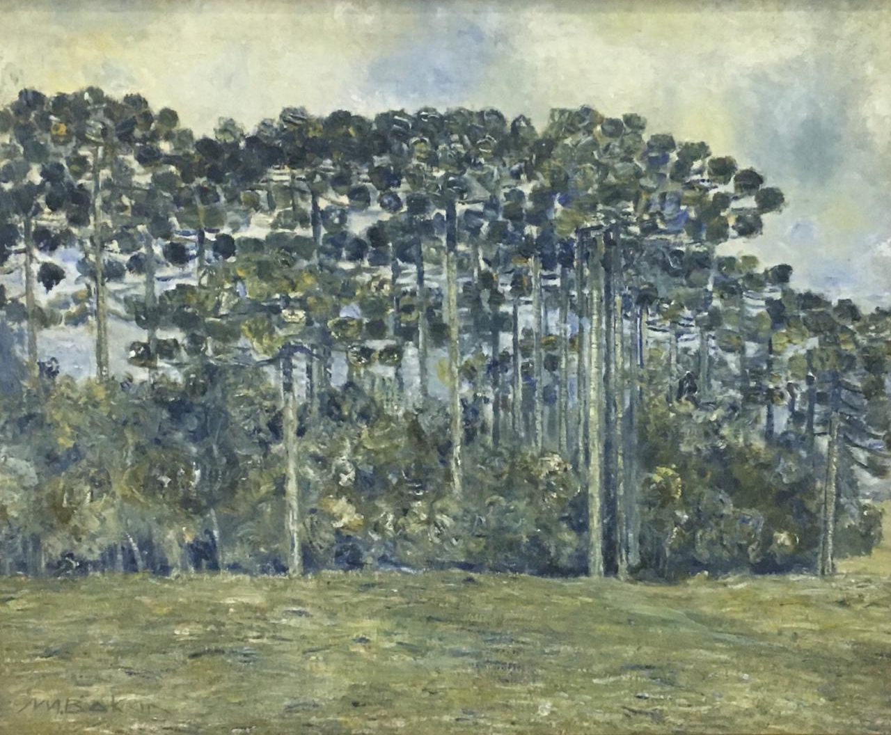 Pinheiral, 1950