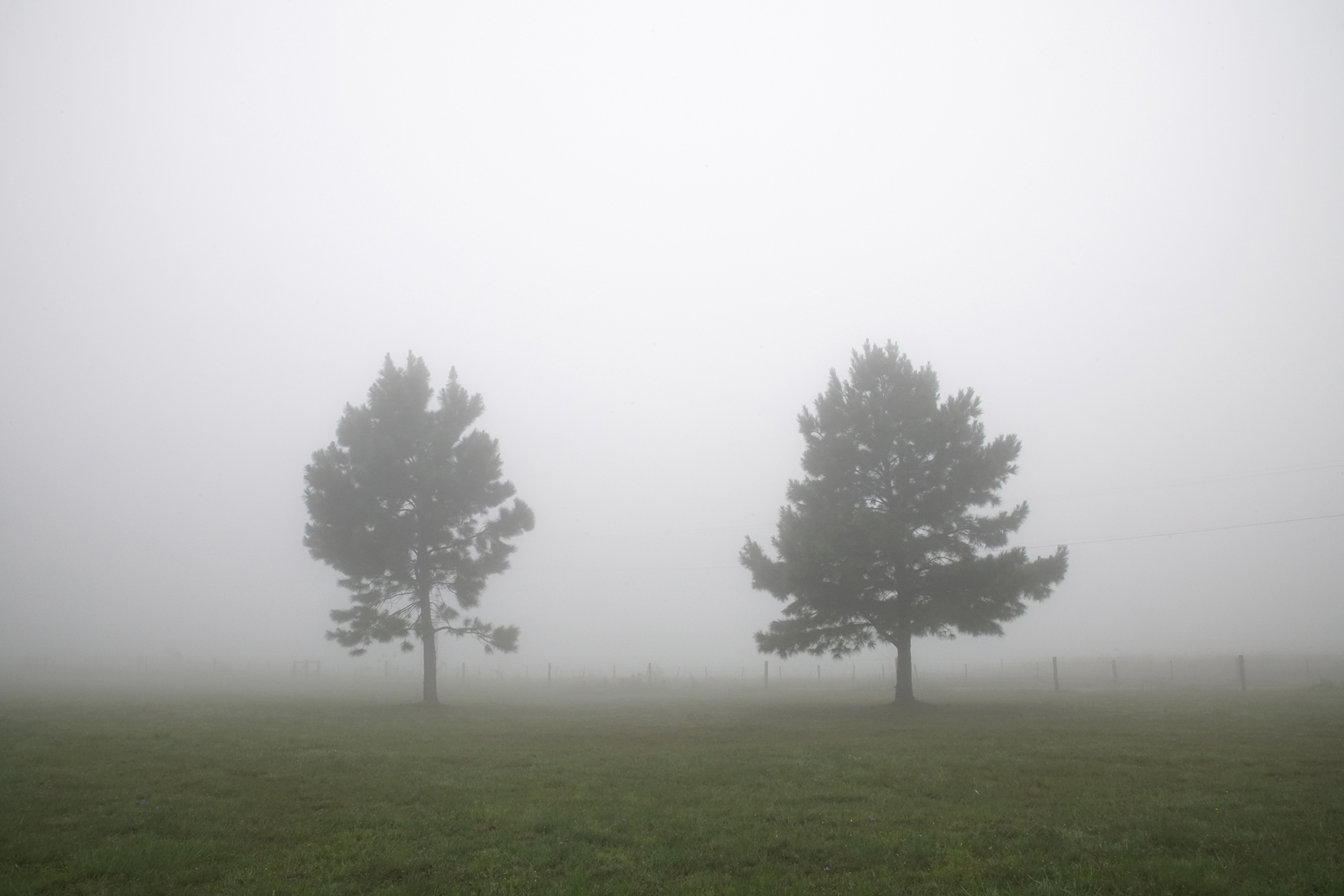 Sem Título, Série Paisagens Interiores, 2021
