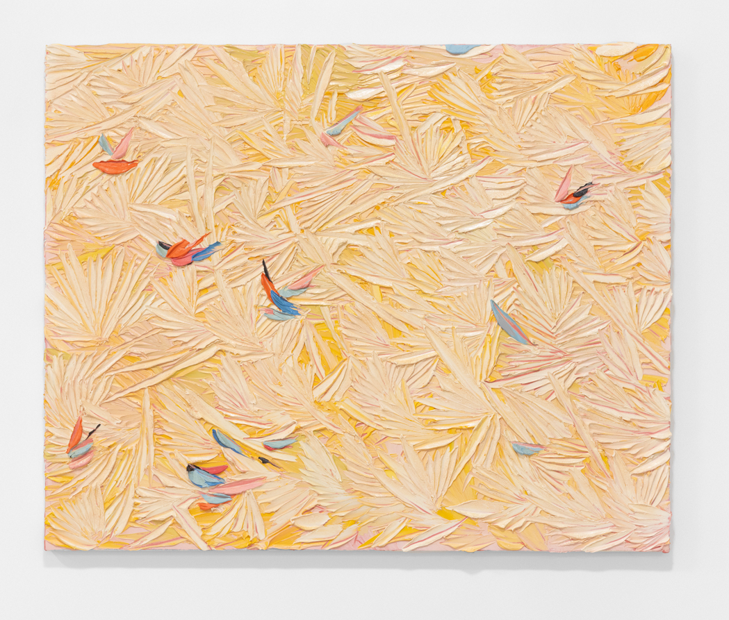 Dashiell Manley | Sounds from above, morning optimism’s, 2023