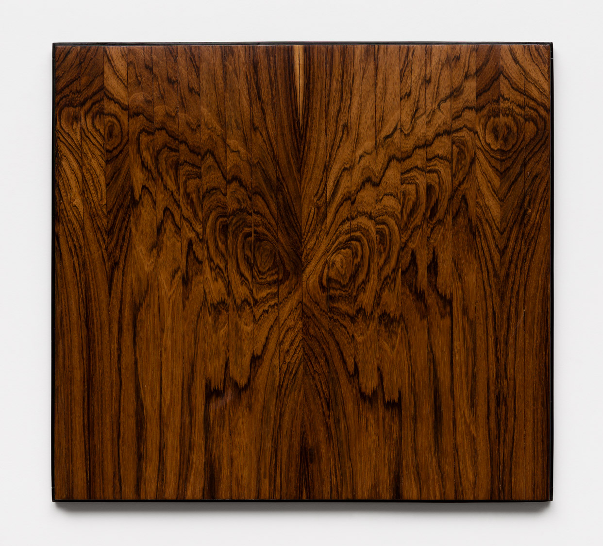 Abraham Palatnik | Progressão, 1965