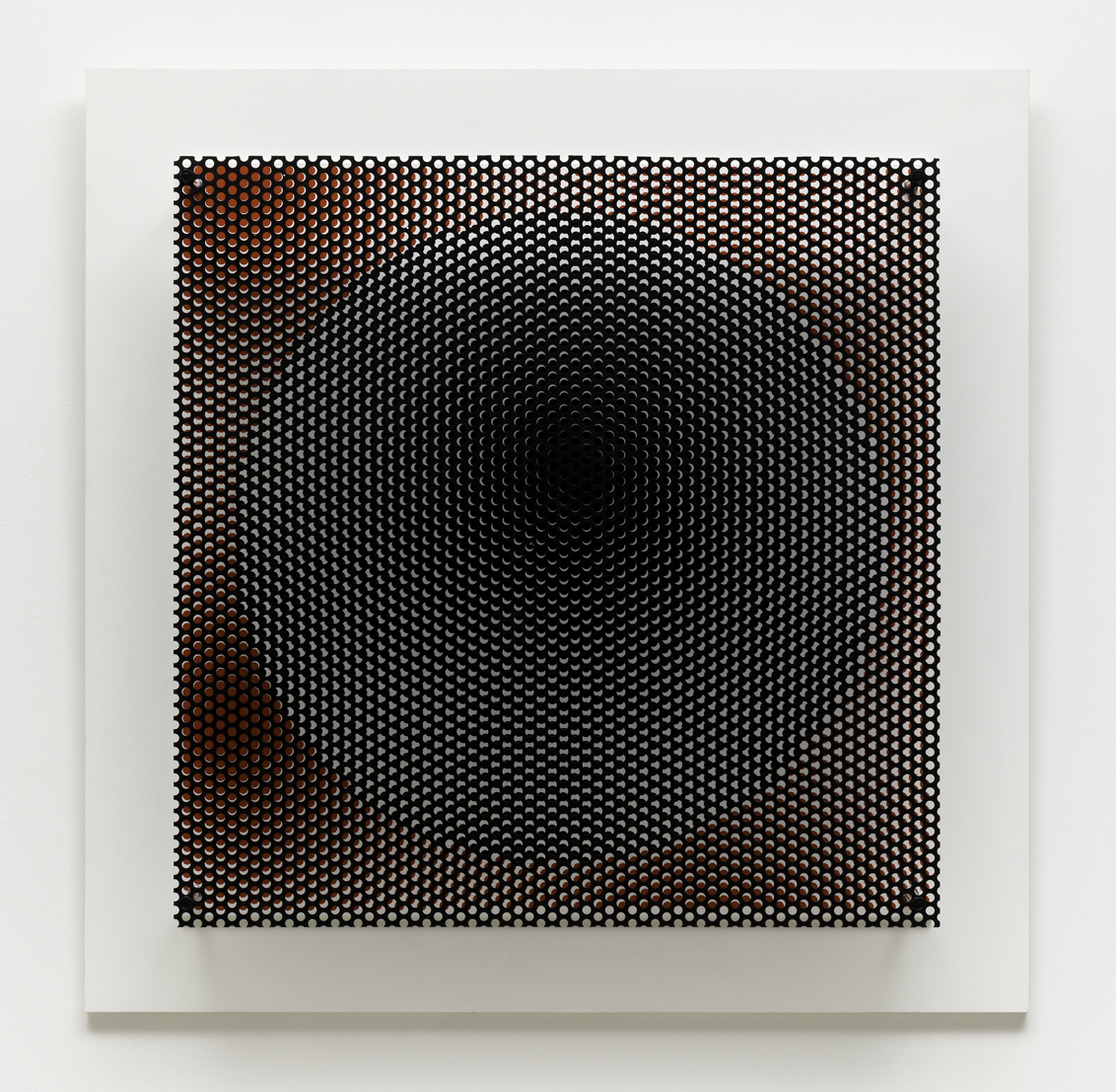Antonio Asis | Grille, 2005