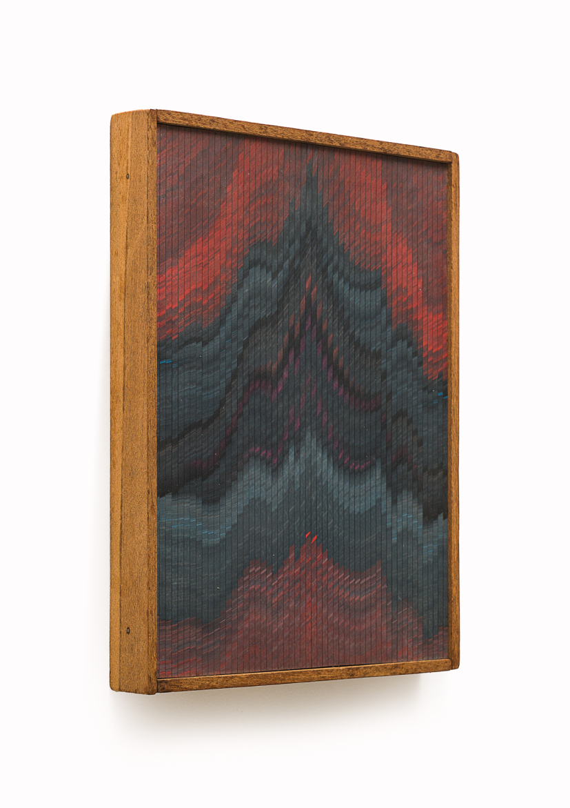 Abraham Palatnik | W -319, 2009