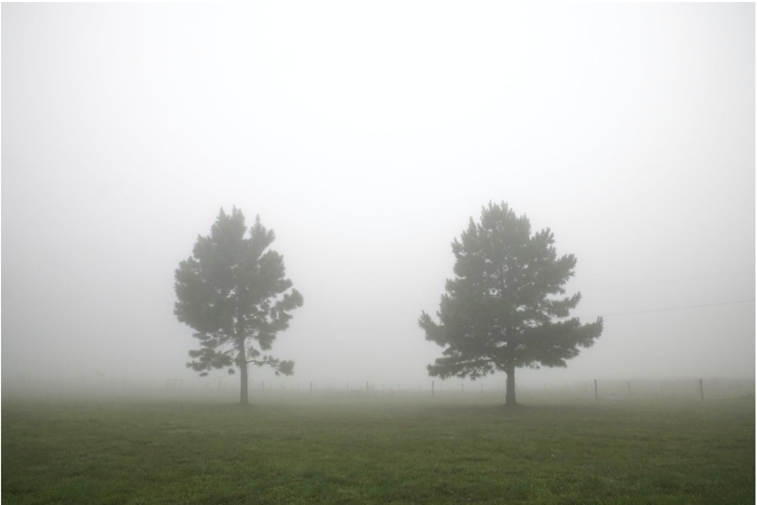 Sem Título, série Paisagens Interiores, 2021