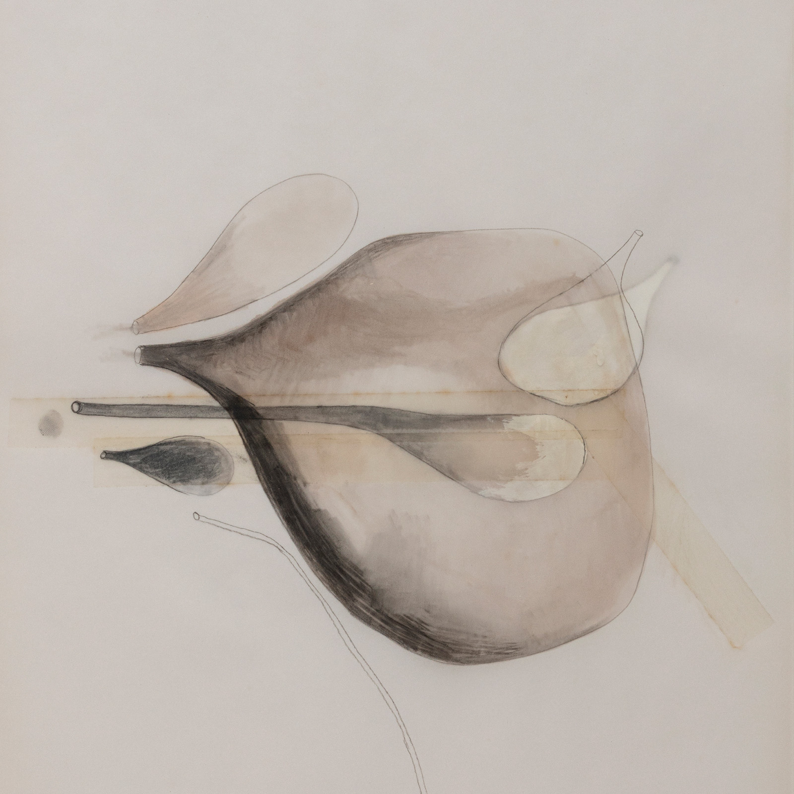 Mariana Manhães | Verbos terminados em ar #31, 2013