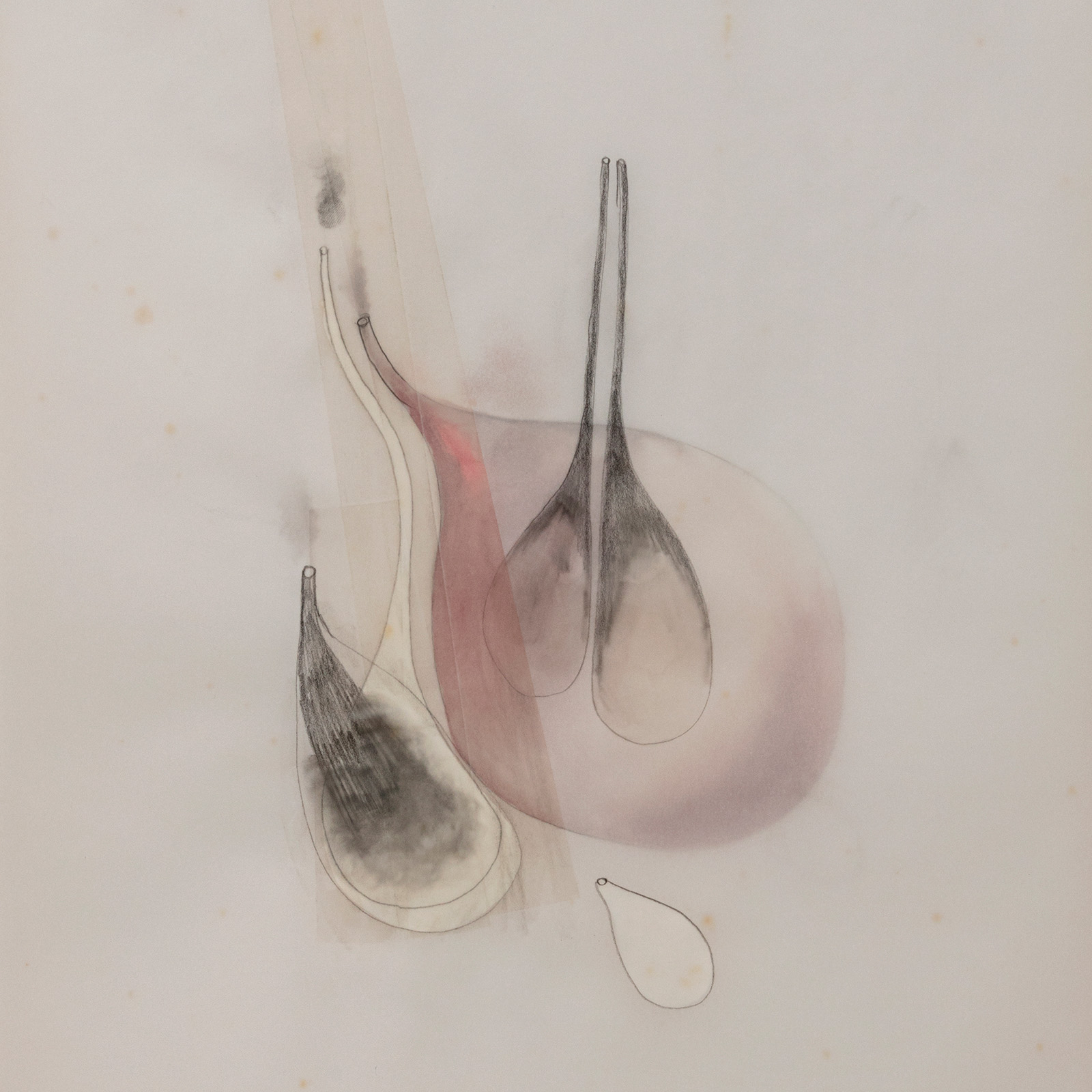 Mariana Manhães | Verbos terminados em ar #32, 2013
