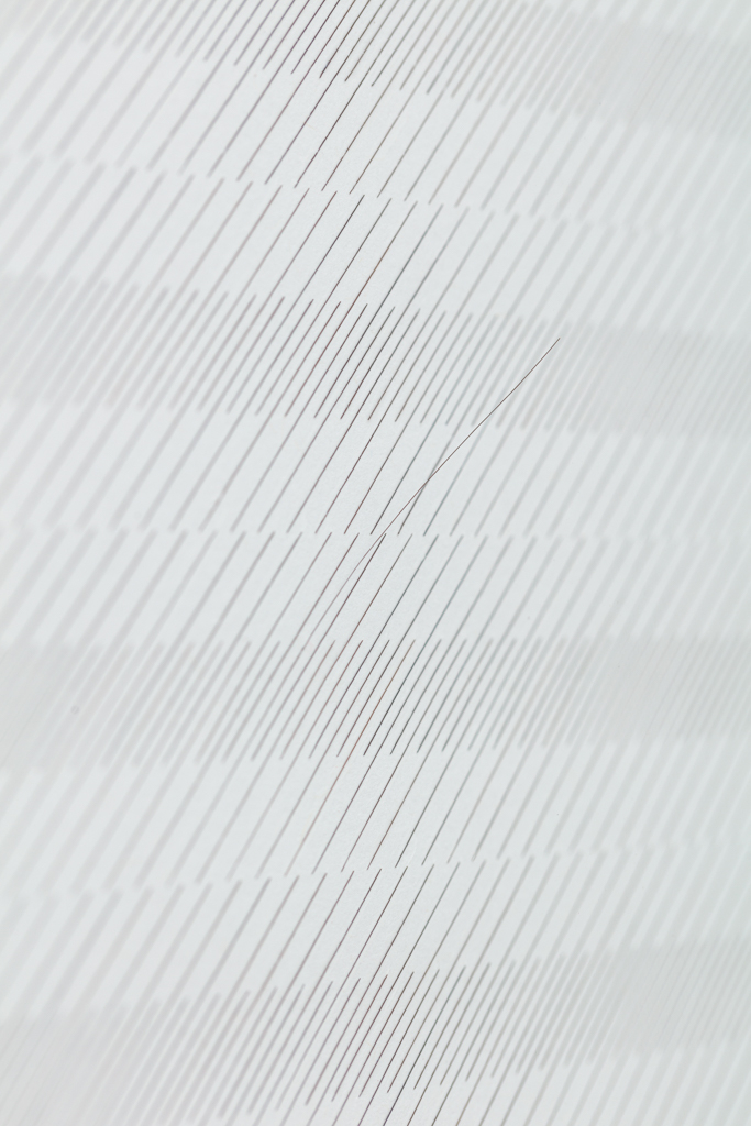 Gabriel de la Mora | 2,170 I, série Capilares, 2019