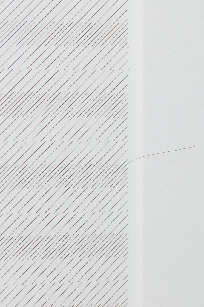 Gabriel de la Mora | 2,170 I, série Capilares, 2019