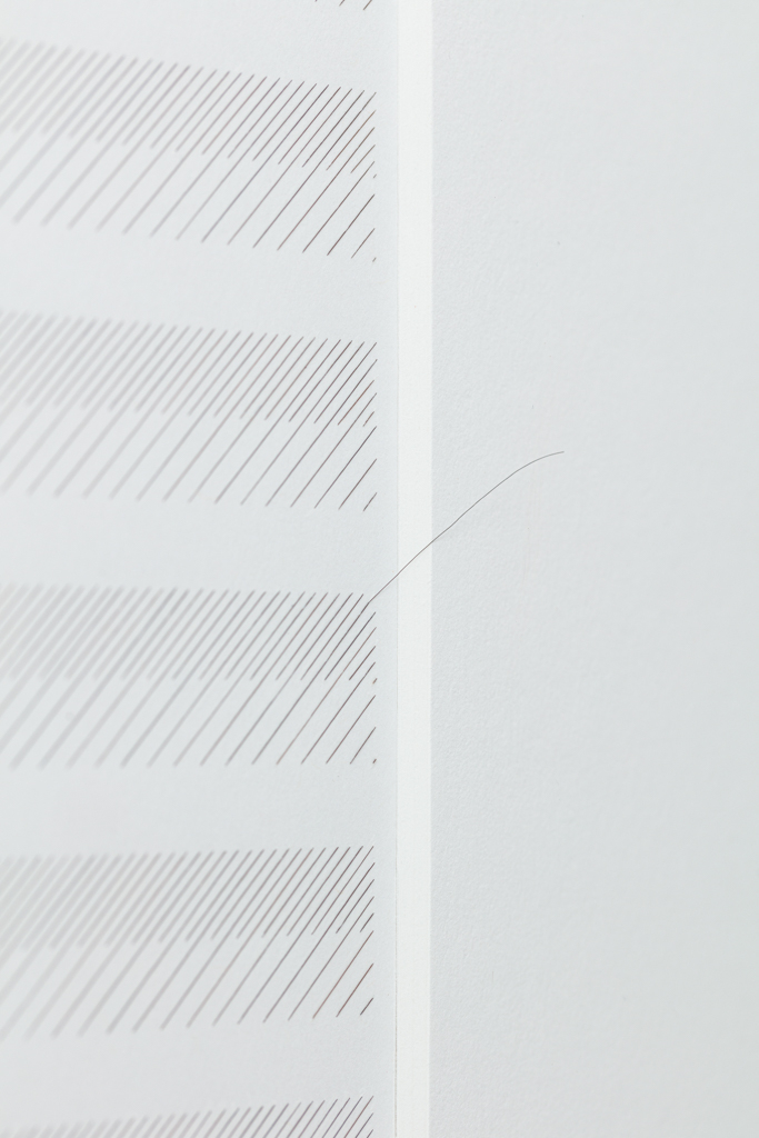 Gabriel de la Mora | 2,209 I, série Capilares, 2019