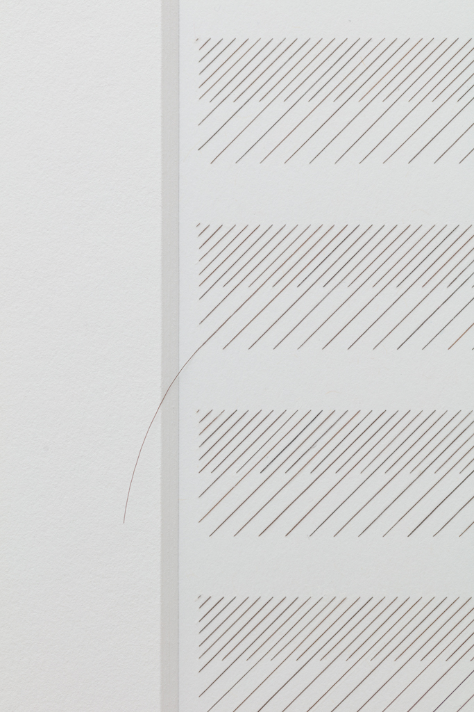 Gabriel de la Mora | 2,209 I, série Capilares, 2019