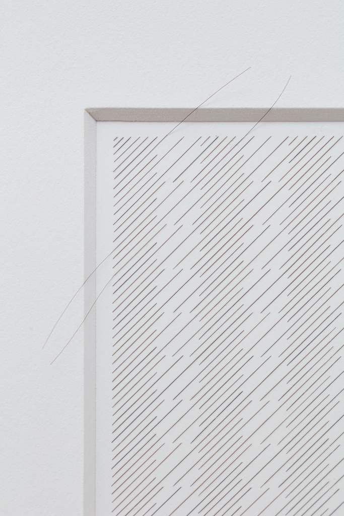 Gabriel de la Mora | 2,120 I, série Capilares, 2019