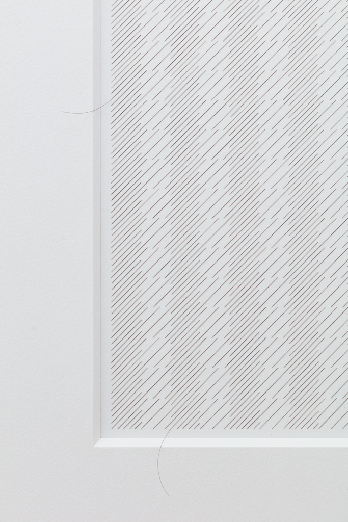 Gabriel de la Mora | 2,120 I, série Capilares, 2019