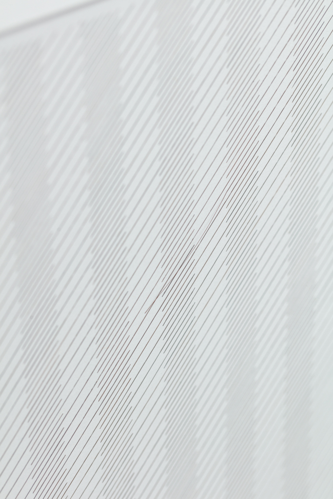 Gabriel de la Mora | 2,120 I, série Capilares, 2019