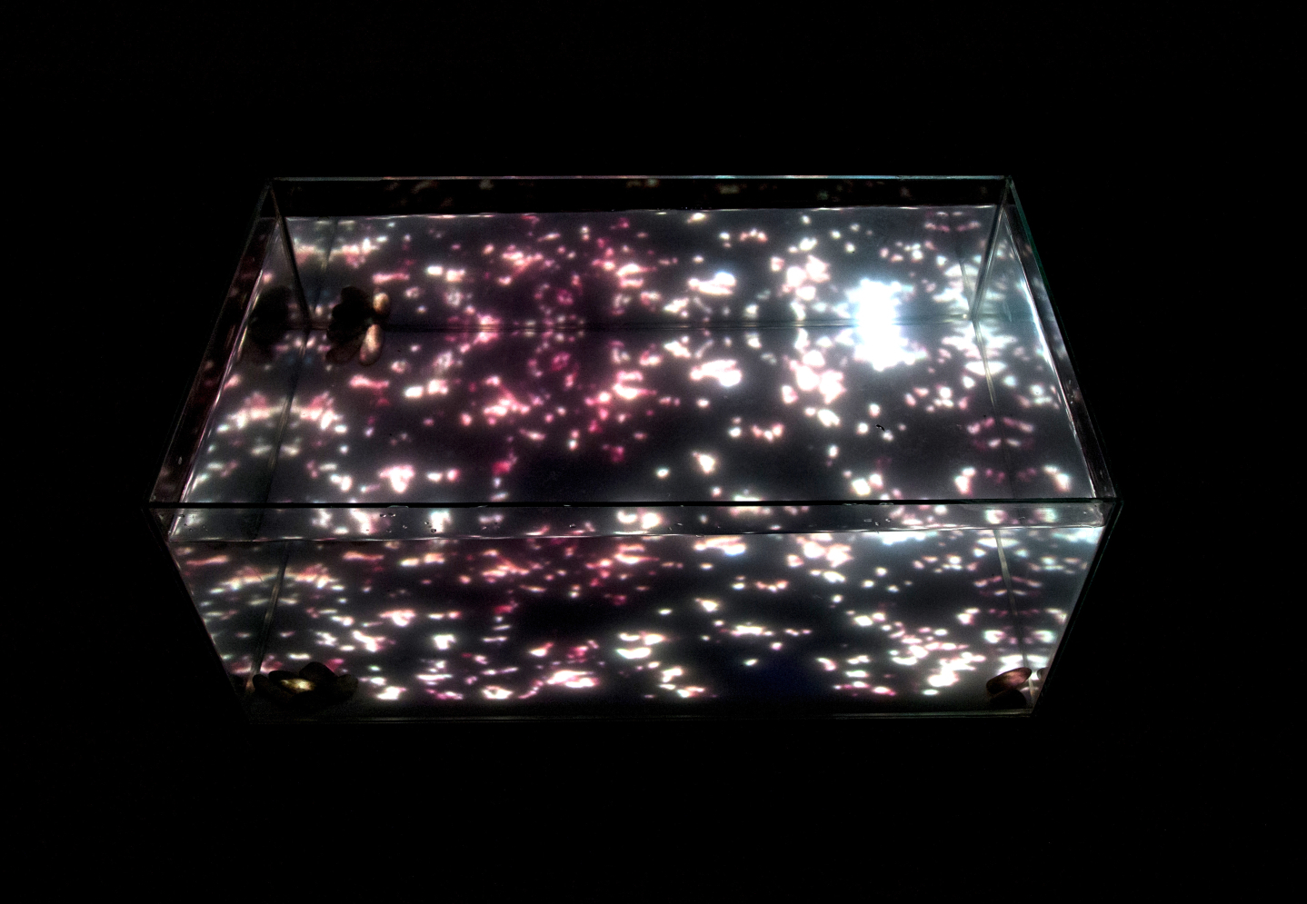 Anna Costa e Silva | Fogo sobre lago, 2018