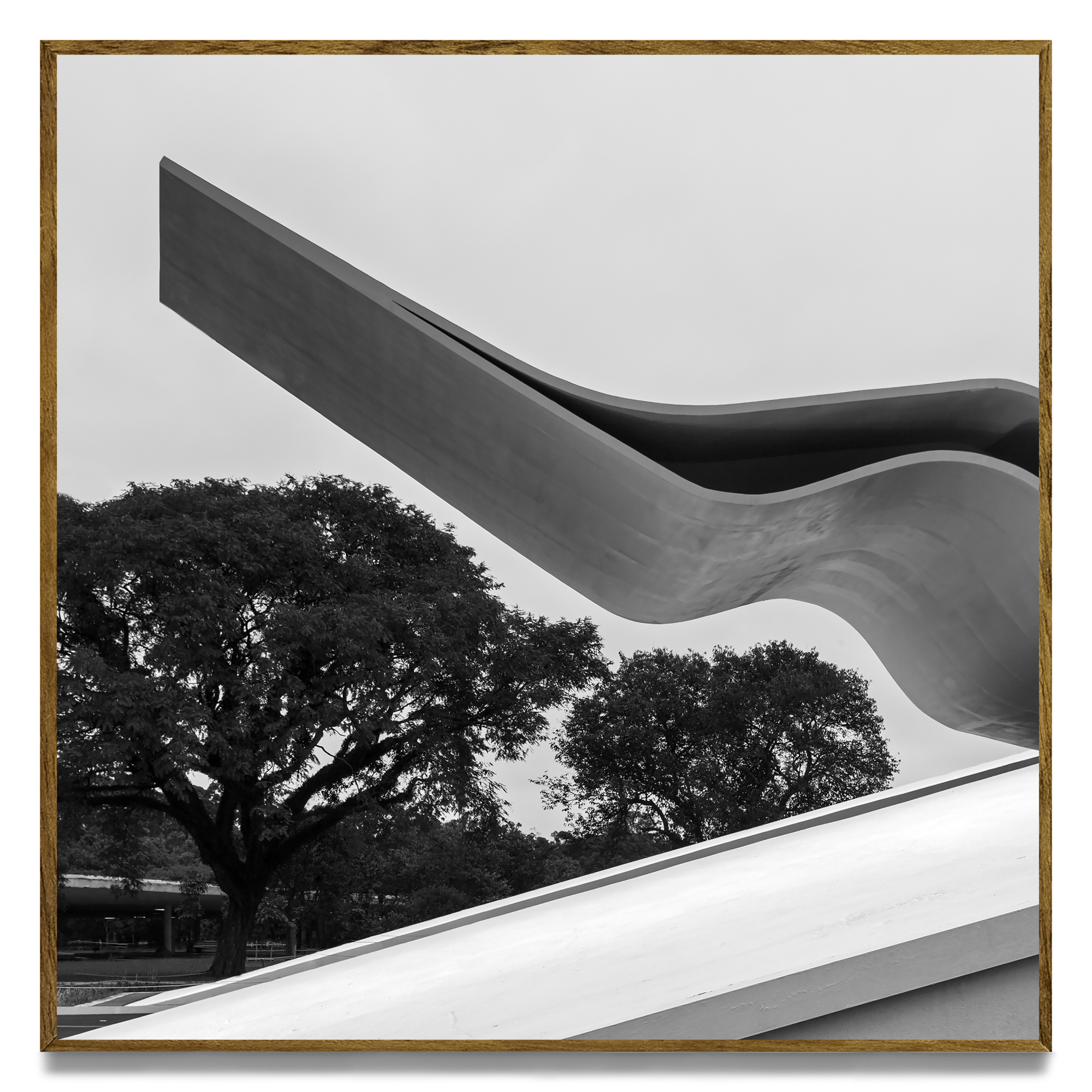 Leonardo Finotti | Auditório Ibirabuera #2 - Auditório Ibirapuera (2002), Tomie Ohtake, Oscar Niemeyer  série trans:paisagem, 2006
