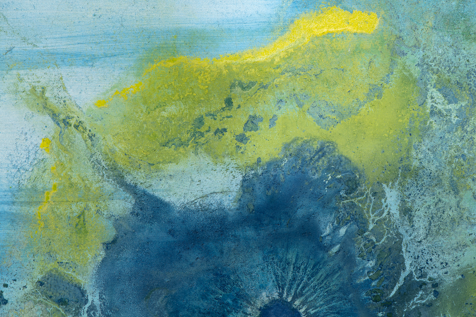 Thiago Rocha Pitta | Marinha com cianobactérias, 2018