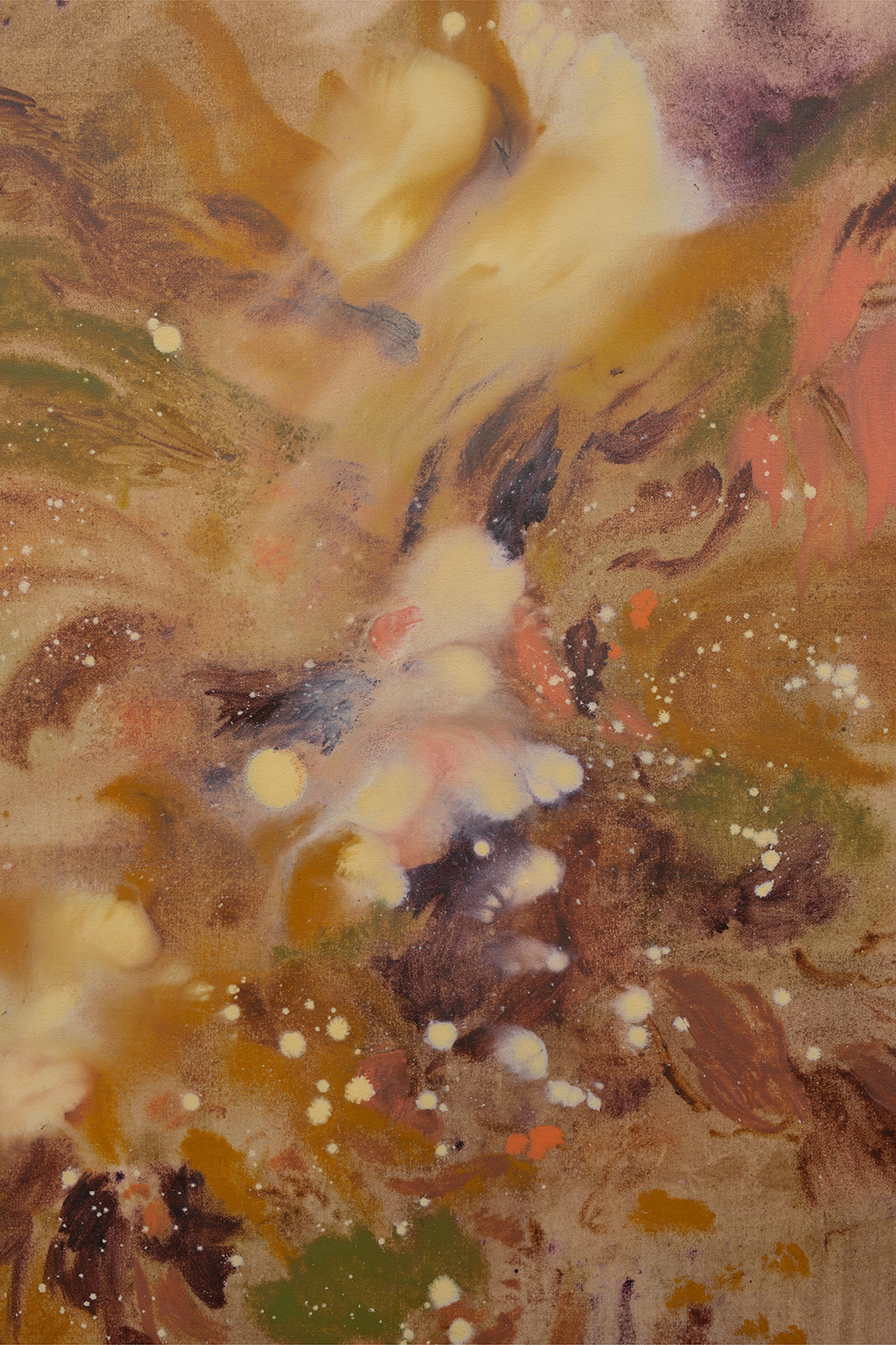Spores, 2025
