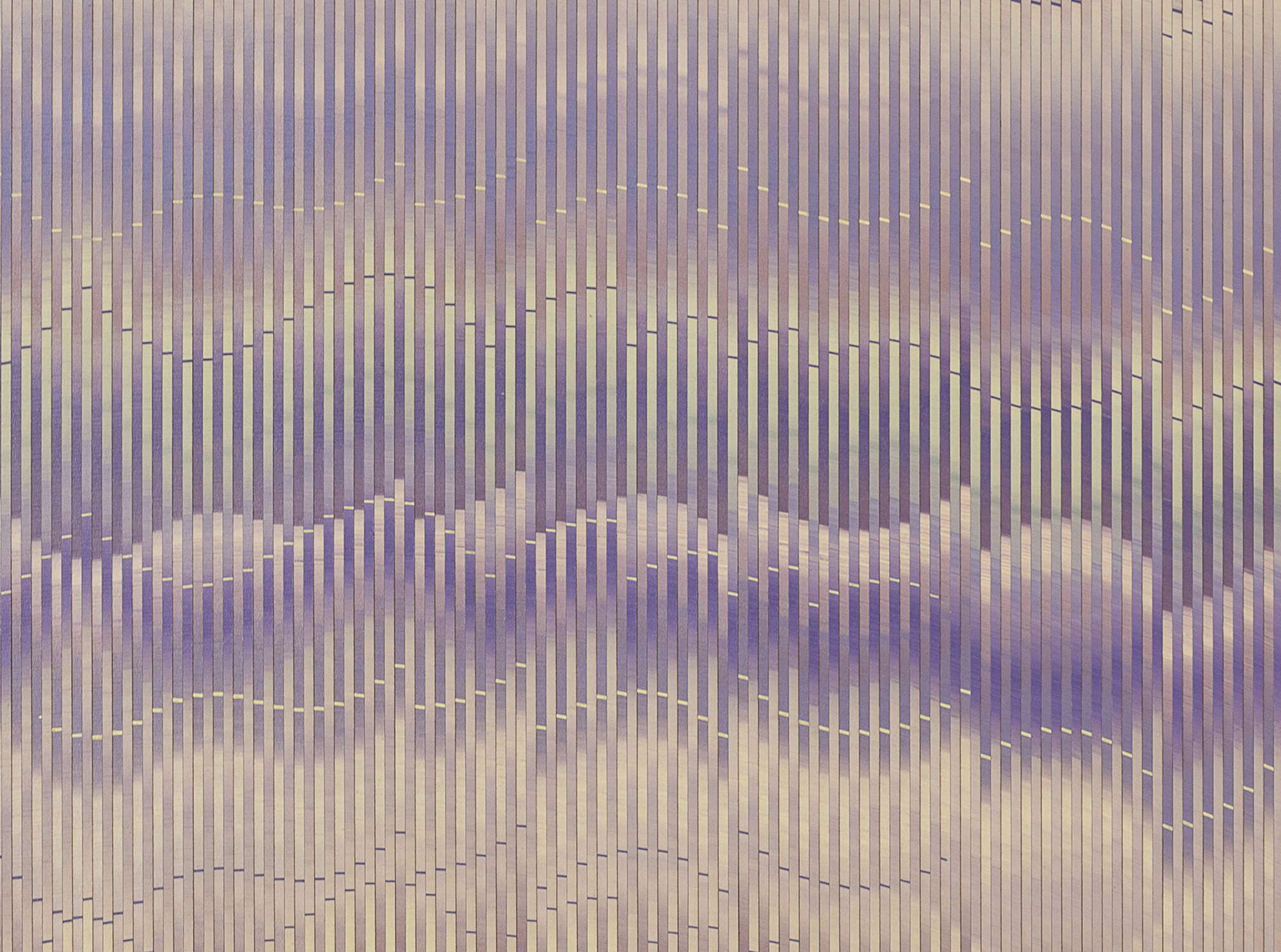 Abraham Palatnik | W-962, 2016